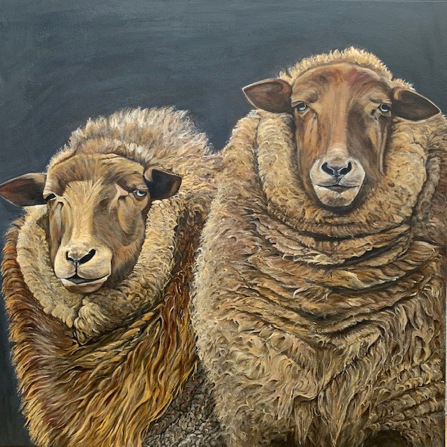 Droomschapen