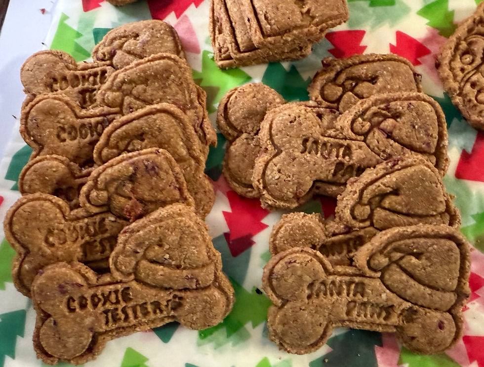 Thumbnail: Christmas santa hat bone dog treat
