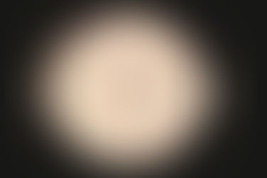 What types of mold is harmful to us?