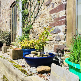 The Granary at Winbrook Farm Devon