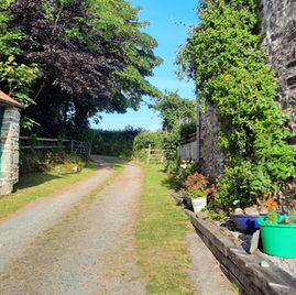 Windows of The Granary at Winbrook Farm Devon