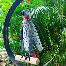 sculpture de perroquet du gabon