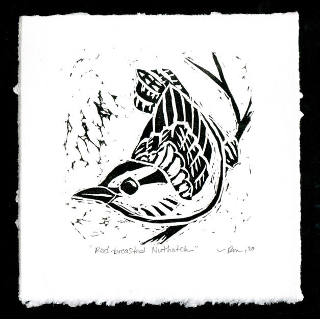 Red-breasted Nuthatch