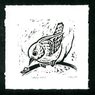 House Wren