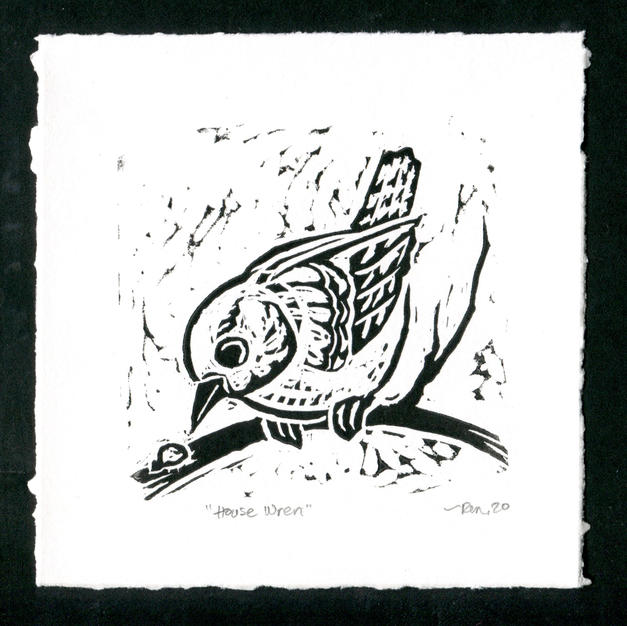 House Wren