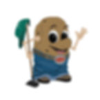 Alliston Potato Festival