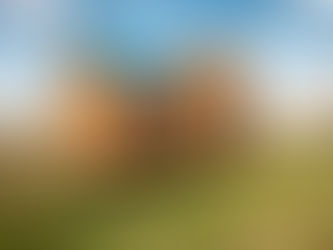 Pour vivre heureux, vivons léger : la tiny house !