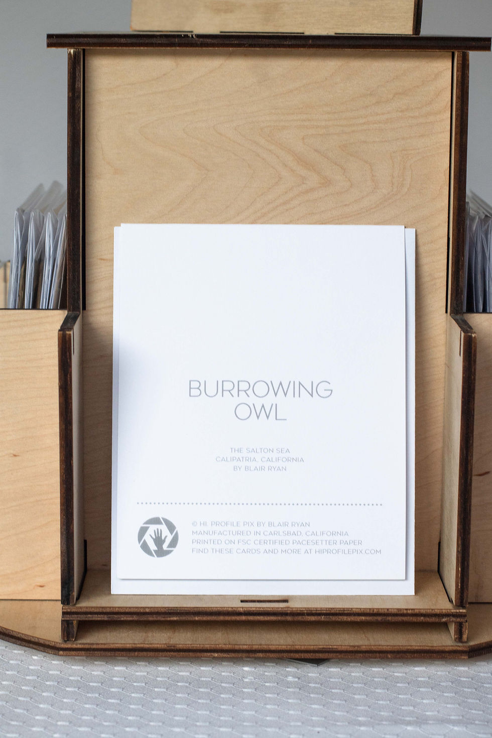Thumbnail: Burrowing Owl - 4" x 5" Notecard