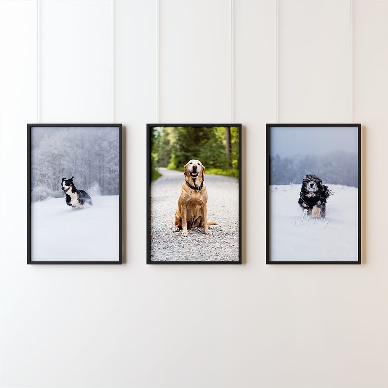Wandbild Website_edited.jpg