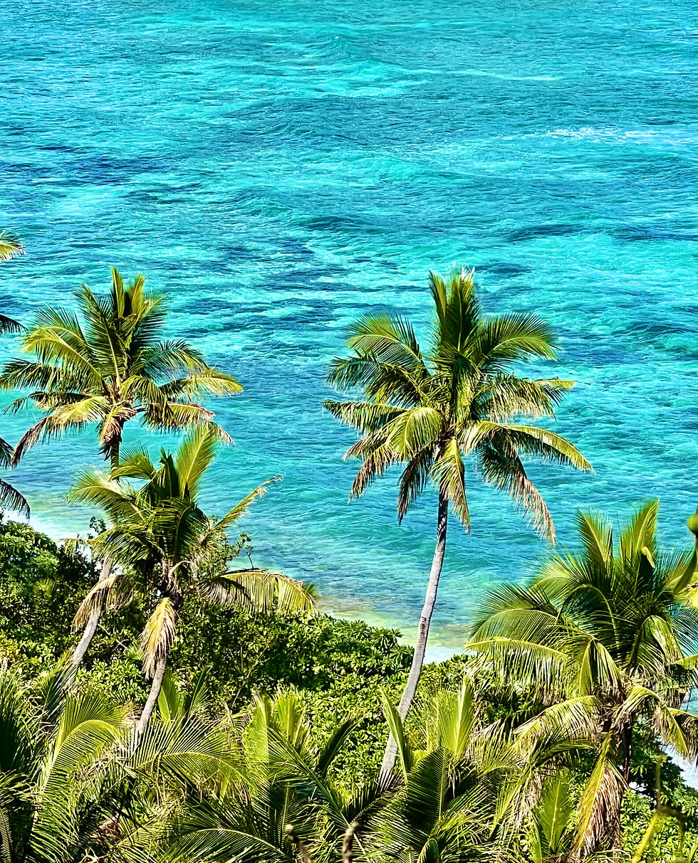 The Island where Castaway was filmed