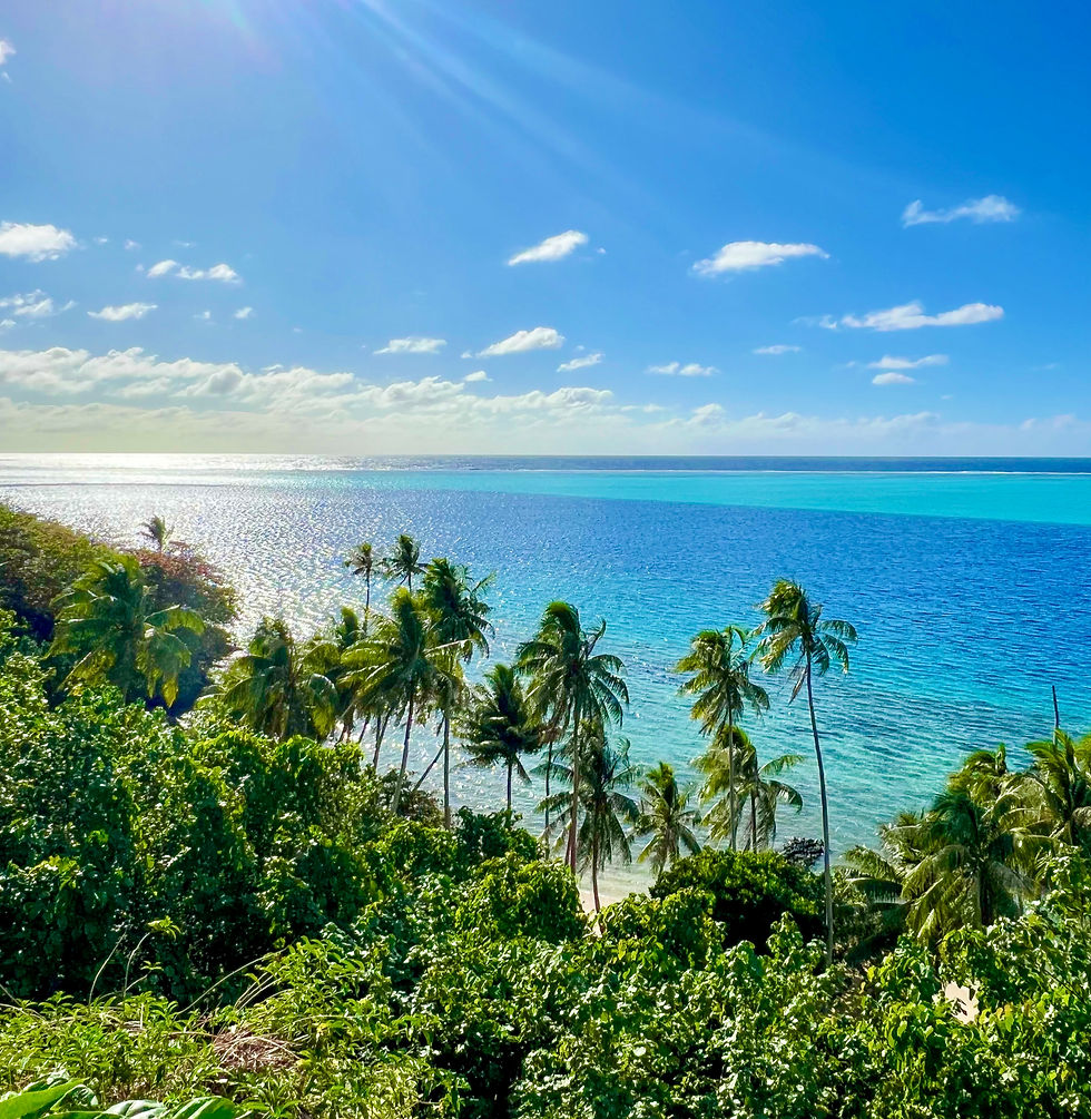 Sunshining down onto a beautiful tropical island with palm trees in French Polynesia