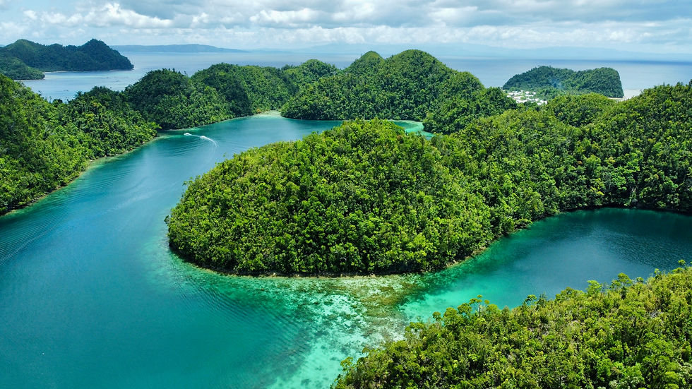 Aerial view if turquoise water and small round tree covered islands popping out, Philippines.