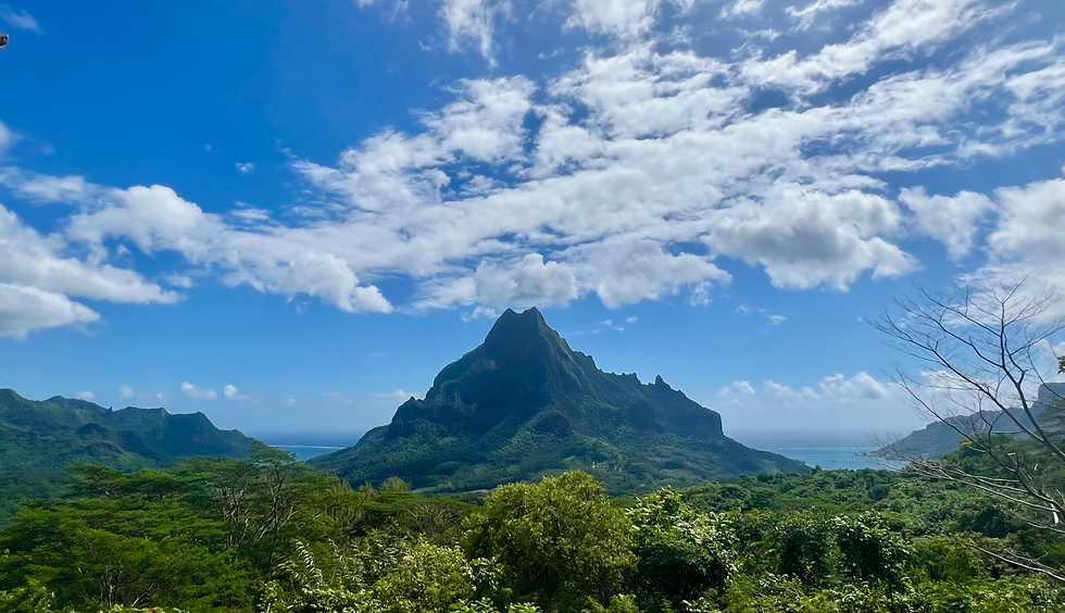Belvedere Lookout, Moorea.