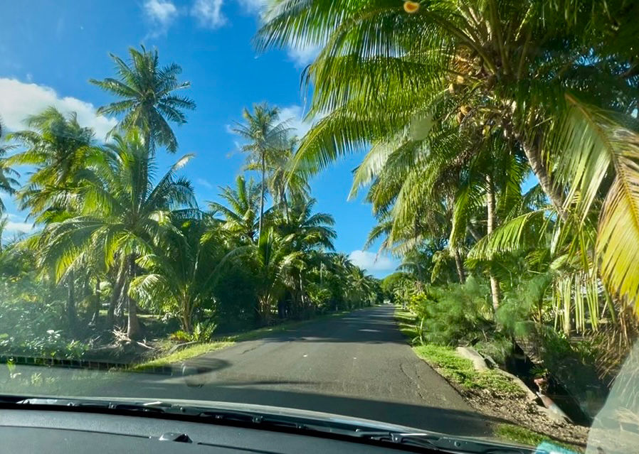 Driving along a palm lined road, French Polynesia.