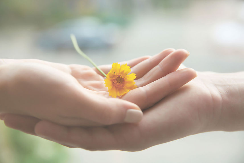 Yellow-Flower_edited.jpg