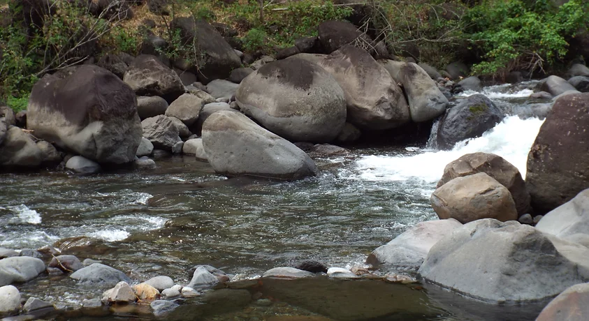 Location Vacances Guadeloupe