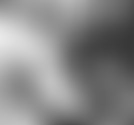 Early morning on the last day of Christmas