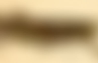 Prose off: Story put forward in The Baffler by editor J.W. McCormack, the living embodiment of the cliche that is the petty Brooklyn sinecure/literary subculture dweller/tosser v. Fleming story