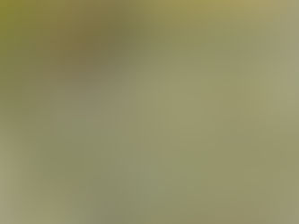 Confessions, confusions, constancies