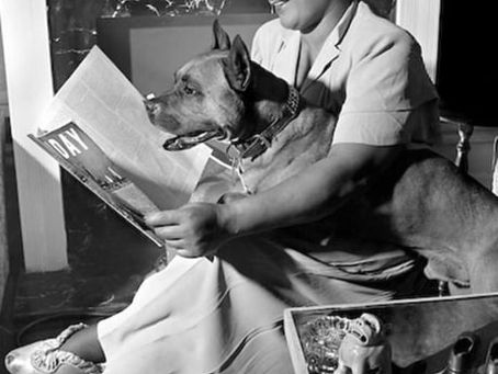 Excerpt from Billie Holiday feature