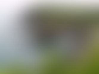 "The Spot," short story excerpt