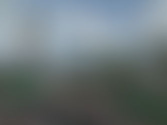 "Letting It Fly," short story excerpt