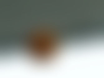 The cold in early spring