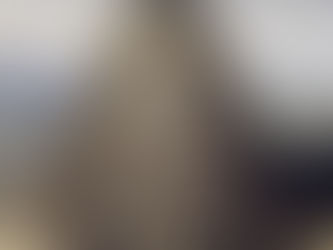 Guns, lies, vaccines