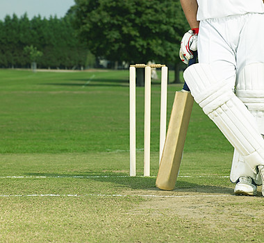 Cricket
