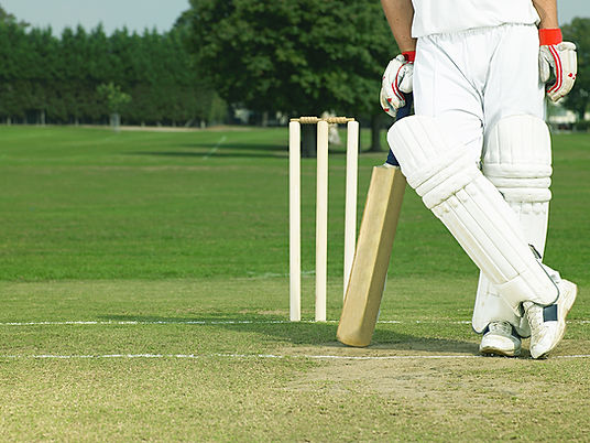 Cricket Player Stance