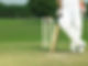 Cricket Player Stance