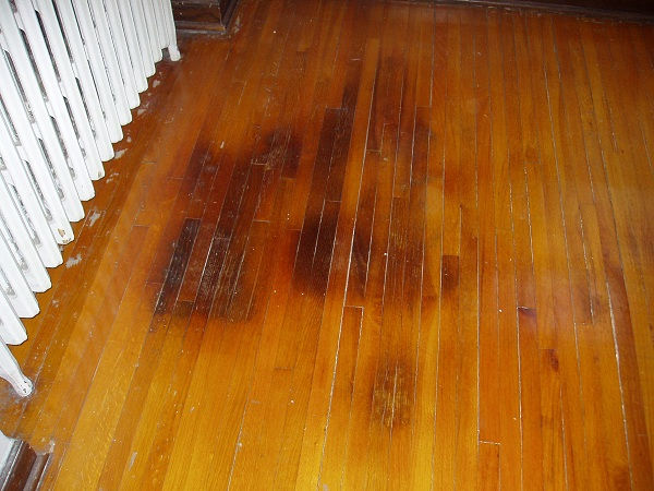 Bright, professionally cleaned living room prepared for Airbnb guests with spotless floors and modern furnishings in London, Ontario.