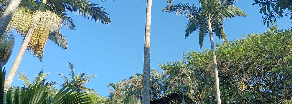 Front view.jpg