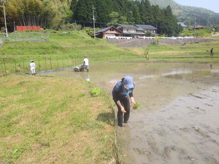 助っ人大活躍