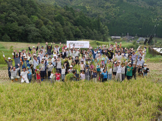 taikanツアーで稲刈り