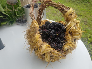 ブラックベリーファーム開園