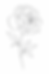 ChatGPT Image 30 giu 2026, 10_49_08.png