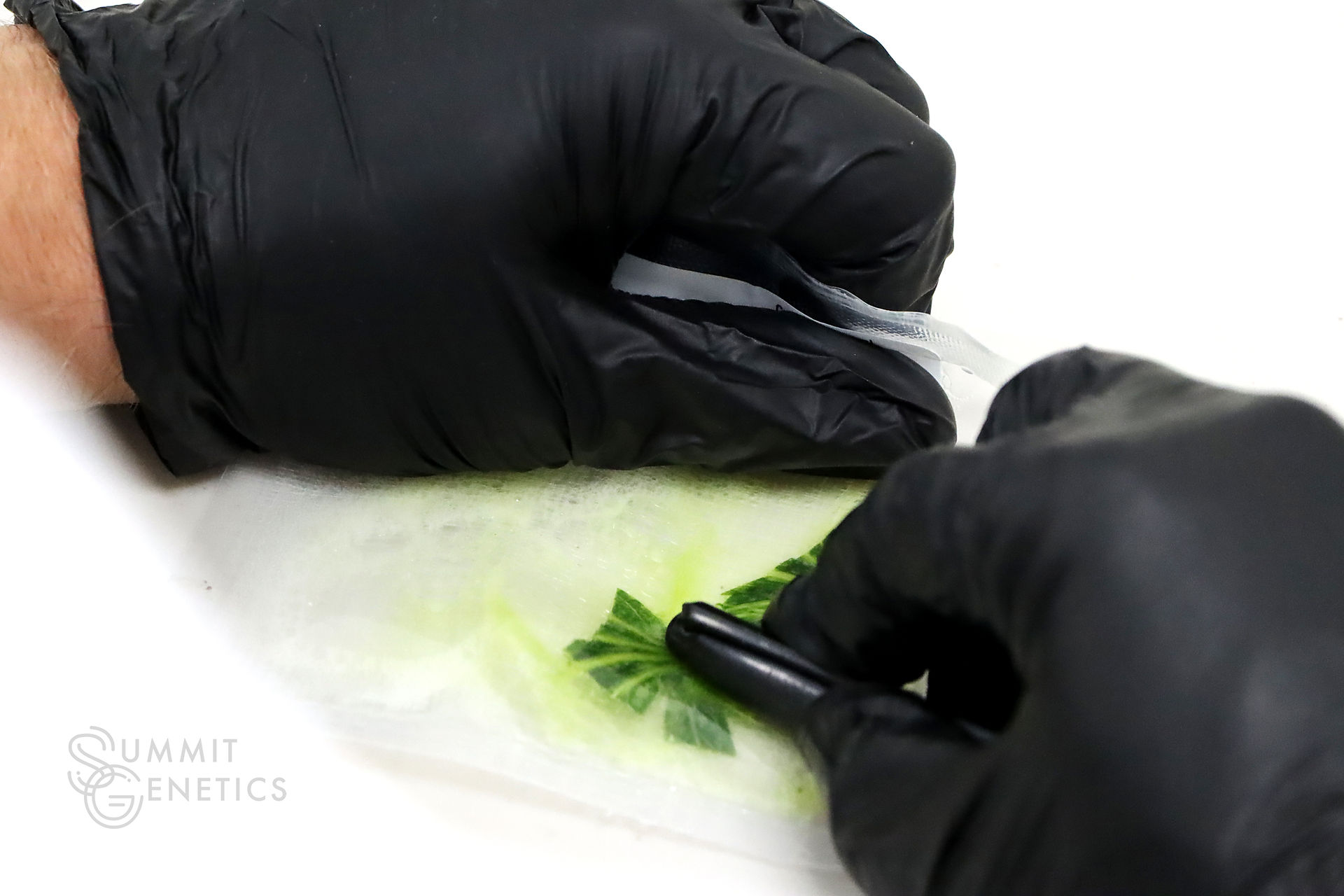 Preparing a testing sample