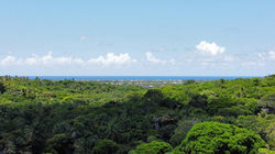 PousadaMalafaia-Reservavista