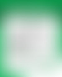 41ª reunião do Conselho do Sul da Ilha