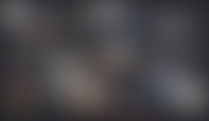 49ª reunião do Conselho do Centro