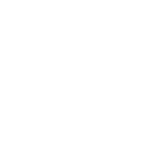 Copy of Copy of Copy of P-2.png