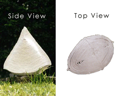 Organic Triangle II - Triangle