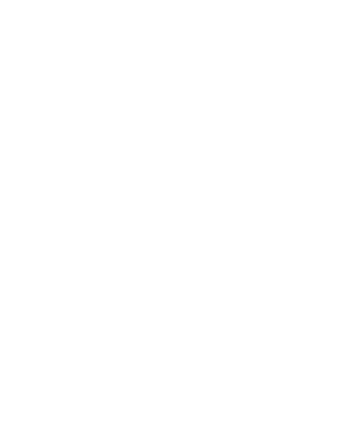 flower3.10.png