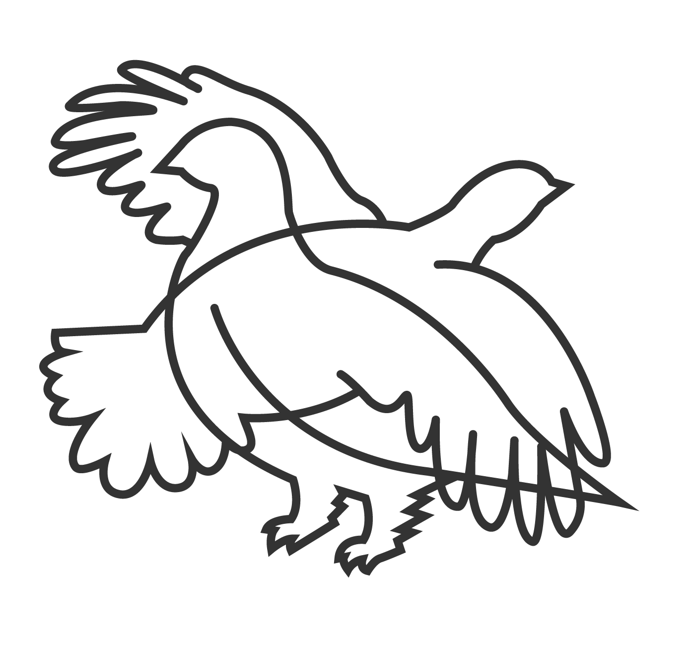 Bird_2.0.png