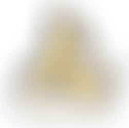 Gold catamaran on gold wave