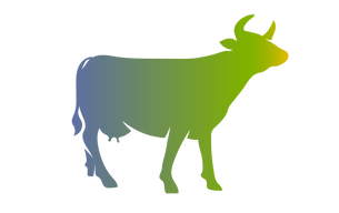 cow_21-01_edited.png