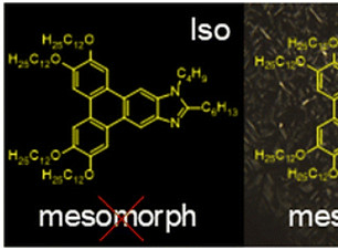 Screenshot 2025-09-08 162407_edited.jpg