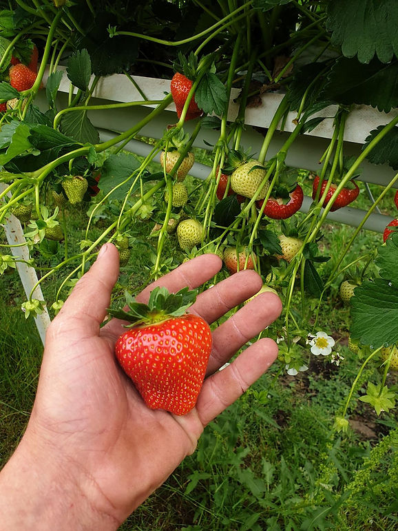 WhatsApp Image 2025-03-20 at 16.47.47.jpeg