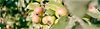 Leistung_01_Header _ Banner 2.jpg